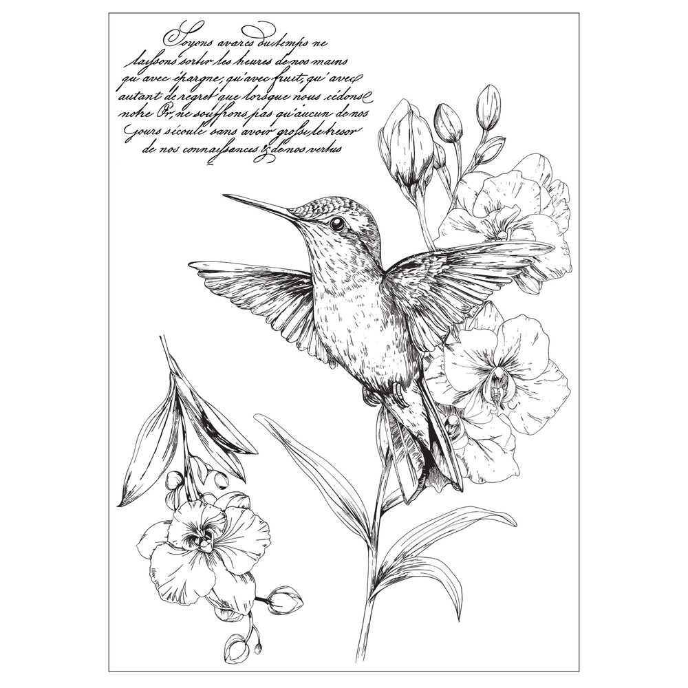 Sizzix Studio Clear Stamps w/ Stencils Hummingbird and Orchids (3+3pcs) by Willow Wolfe (667125) Sizzix Studio Clear Stamps w/ Stencils Hummingbird and Orchids (3+3pcs) by Willow Wolfe (667125)