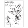 Sizzix Studio Clear Stamps w/ Stencils Hummingbird and Orchids (3+3pcs) by Willow Wolfe (667125) Sizzix Studio Clear Stamps w/ Stencils Hummingbird and Orchids (3+3pcs) by Willow Wolfe (667125)