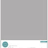 Craft Consortium The Essentials Pearlescent Card A4 Silver (10pcs) (CCEPC003) Craft Consortium The Essentials Pearlescent Card A4 Silver (10pcs) (CCEPC003)