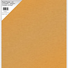 Paper Favourites Pearl Paper A4 Golden Amber 250gsm (10pcs) (PFSS427) Paper Favourites Pearl Paper A4 Golden Amber 250gsm (10pcs) (PFSS427)