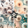 Paper Favourites Dandelion A6 Paper Pack (PFA641)
