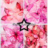 Paper Favourites Alcohol Ink Butterflies A6 Paper Pack (PFA637)