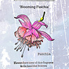 IndigoBlu Blooming Fuchsia A6 Red Rubber Stamp (IND1537) IndigoBlu Blooming Fuchsia A6 Red Rubber Stamp (IND1537)