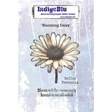 IndigoBlu Blooming Daisy A6 Red Rubber Stamp (IND1538)