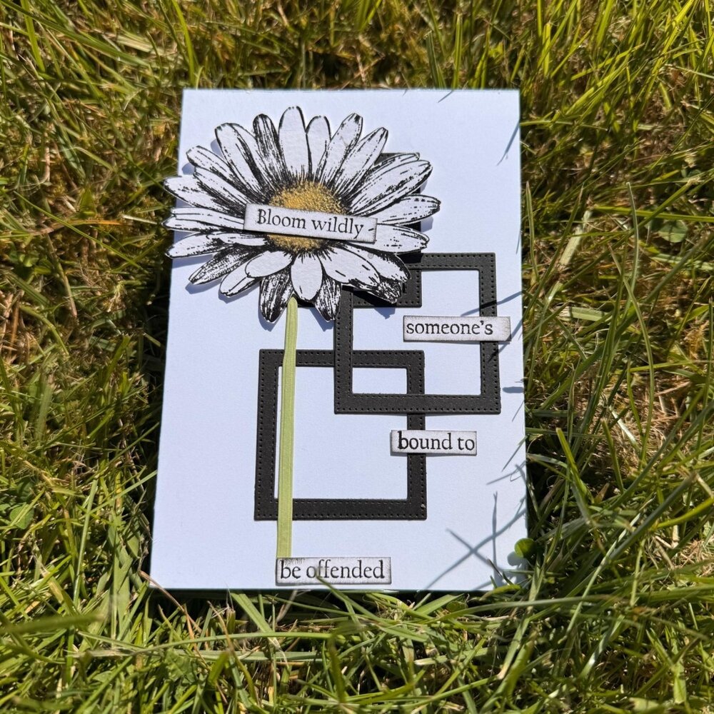 IndigoBlu Blooming Daisy A6 Red Rubber Stamp (IND1538)