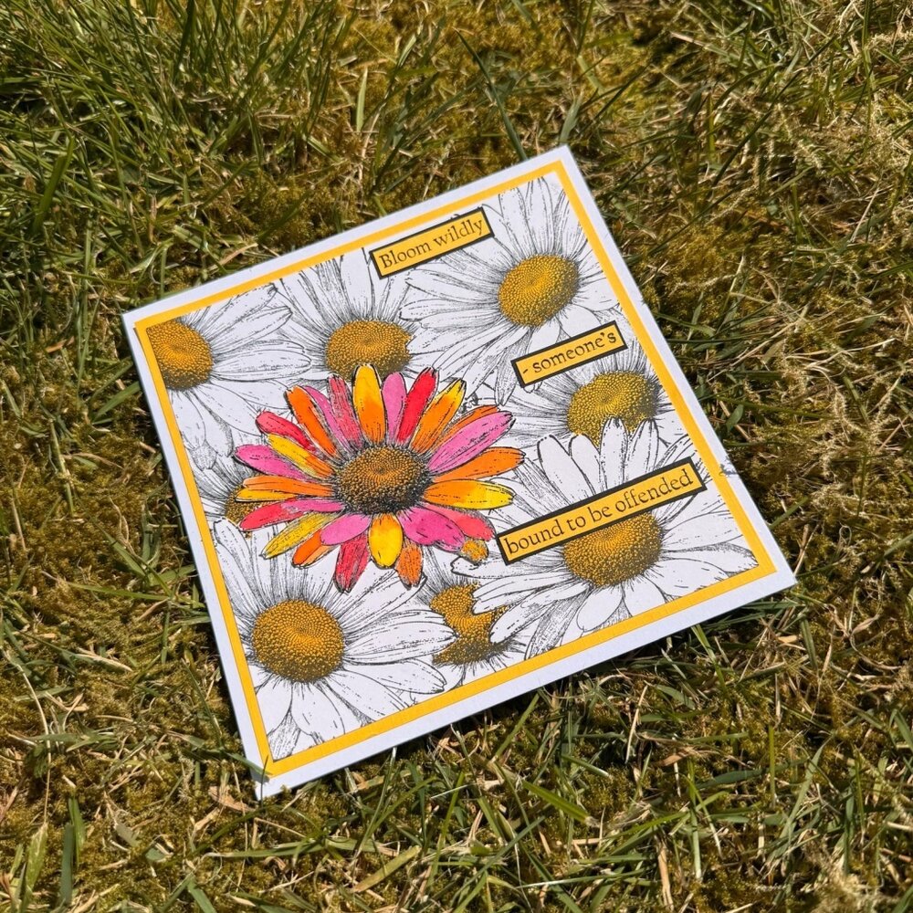 IndigoBlu Blooming Daisy A6 Red Rubber Stamp (IND1538)