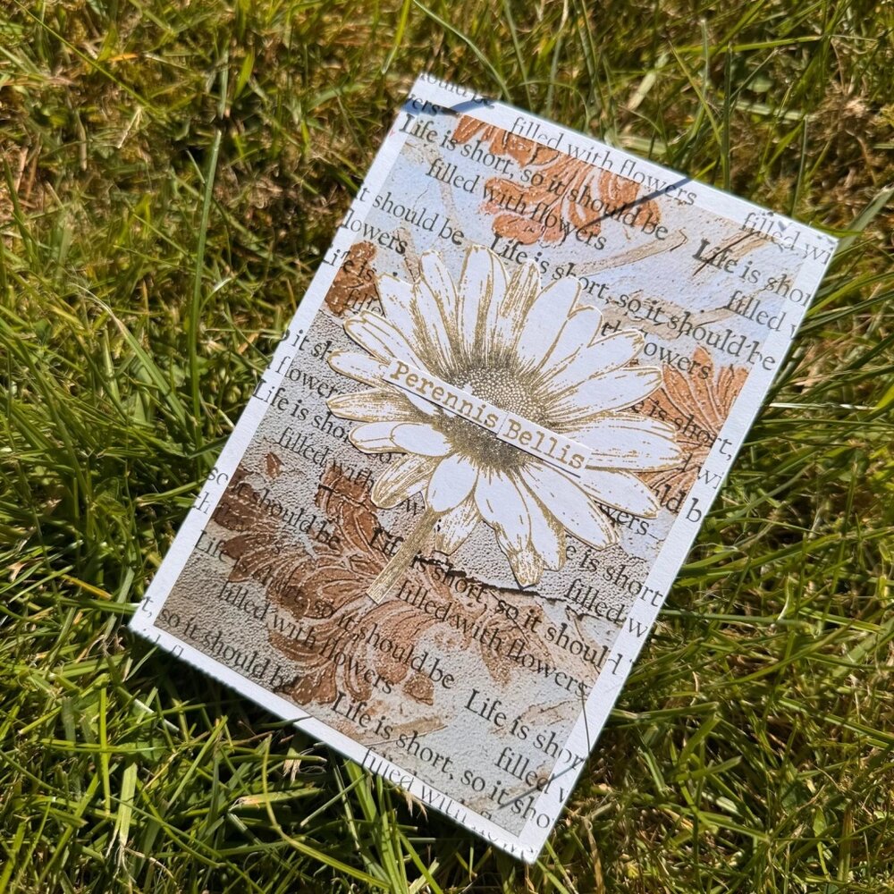 IndigoBlu Blooming Daisy A6 Red Rubber Stamp (IND1538)