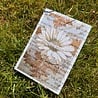 IndigoBlu Blooming Daisy A6 Red Rubber Stamp (IND1538)