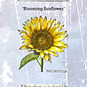 IndigoBlu Blooming Sunflower A6 Red Rubber Stamp (IND1540)