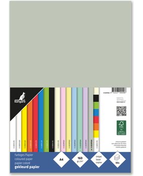 Kangaro KTC Papier A4 160gr Pastel Gris Paquet (50pcs) (K-0039P006) Kangaro KTC Papier A4 160gr Pastel Gris Paquet (50pcs) (K-0039P006)