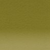 Derwent Coloursoft Pencil 500 Lichen Green (DCS0701002) Derwent Coloursoft Pencil 500 Lichen Green (DCS0701002)