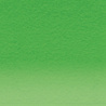 Derwent Coloursoft Pencil 430 Pea Green (DCS0700995) Derwent Coloursoft Pencil 430 Pea Green (DCS0700995)