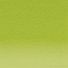 Derwent Coloursoft Pencil 450 Yellow Green (DCS0700997) Derwent Coloursoft Pencil 450 Yellow Green (DCS0700997)