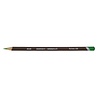 Derwent Coloursoft Pencil 430 Pea Green (DCS0700995) Derwent Coloursoft Pencil 430 Pea Green (DCS0700995)