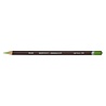 Derwent Coloursoft Pencil 440 Light Green (DCS0700996) Derwent Coloursoft Pencil 440 Light Green (DCS0700996)