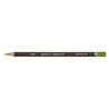 Derwent Coloursoft Pencil 450 Yellow Green (DCS0700997) Derwent Coloursoft Pencil 450 Yellow Green (DCS0700997)