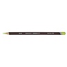 Derwent Coloursoft Pencil 460 Lime Green (DCS0700998) Derwent Coloursoft Pencil 460 Lime Green (DCS0700998)