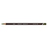 Derwent Coloursoft Pencil 480 Lincoln Green (DCS0701000) Derwent Coloursoft Pencil 480 Lincoln Green (DCS0701000)