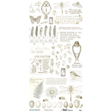 Ranger The Quiet Observer 6x12 Inch Essential Rub-on Transfer Set by Arthouse Whimsy (TQO-37173) Ranger The Quiet Observer 6x12 Inch Essential Rub-on Transfer Set by Arthouse Whimsy (TQO-37173)