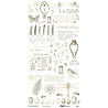 Ranger The Quiet Observer 6x12 Inch Essential Rub-on Transfer Set by Arthouse Whimsy (TQO-37173) Ranger The Quiet Observer 6x12 Inch Essential Rub-on Transfer Set by Arthouse Whimsy (TQO-37173)