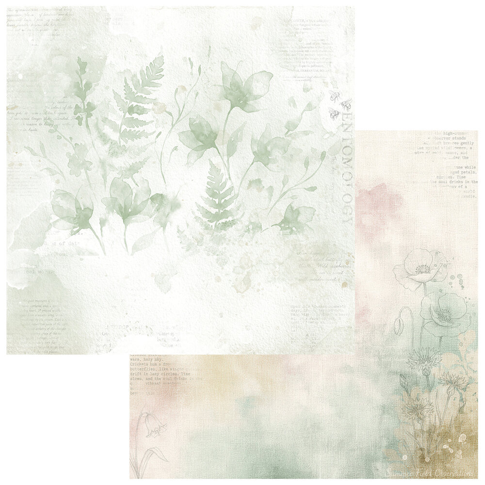 Ranger The Quiet Observer 12x12 Inch Collection Pack by Arthouse Whimsy (TQO-37029) Ranger The Quiet Observer 12x12 Inch Collection Pack by Arthouse Whimsy (TQO-37029)
