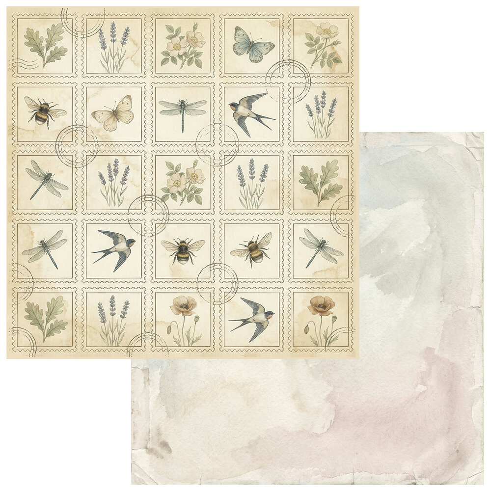 Ranger The Quiet Observer 12x12 Inch Collection Pack by Arthouse Whimsy (TQO-37029) Ranger The Quiet Observer 12x12 Inch Collection Pack by Arthouse Whimsy (TQO-37029)