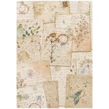 Stamperia Flowers and Poems A4 Rice Paper Botanic Sheets (6pcs) (DFSA41162)