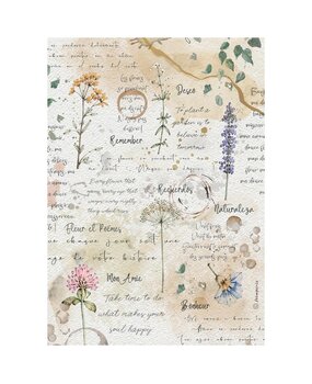 Stamperia Flowers and Poems A4 Rice Paper Flowers and Writings (6pcs) (DFSA41160) Stamperia Flowers and Poems A4 Rice Paper Flowers and Writings (6pcs) (DFSA41160)