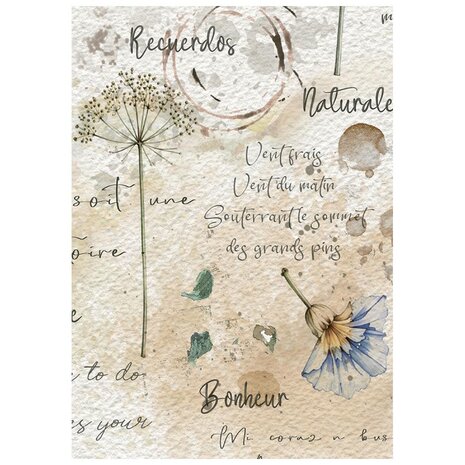 Stamperia Flowers and Poems A6 Mini Rice Paper Selection (8pcs) (DFSA6X13) Stamperia Flowers and Poems A6 Mini Rice Paper Selection (8pcs) (DFSA6X13)