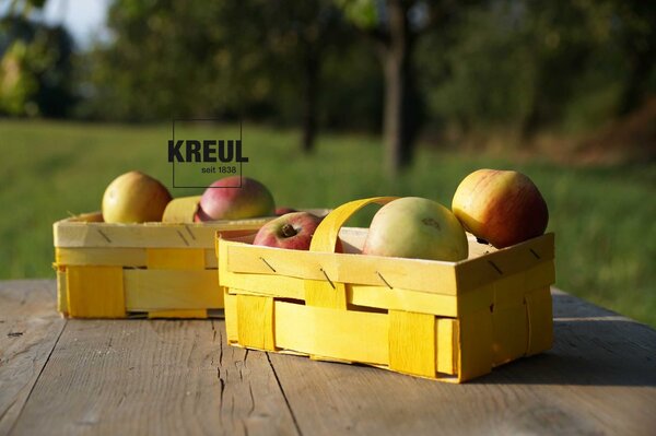 Kreul KREUL Wood Stain Basic (6pcs) (78500) Kreul KREUL Wood Stain Basic (6pcs) (78500)