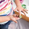 Kreul MUCKI Finger Paint Premium-Set #wildChild (2305) Kreul MUCKI Finger Paint Premium-Set #wildChild (2305)