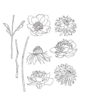 Stampers Anonymous Flower Garden Tim Holtz Cling Stamps (CMS215)
