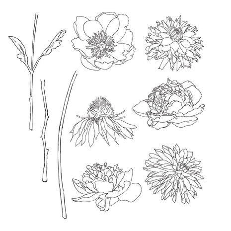 Stampers Anonymous Flower Garden Tim Holtz Cling Stamps (CMS215) Stampers Anonymous Flower Garden Tim Holtz Cling Stamps (CMS215)