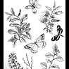Arden Creative Studio Maker Series 6x8 Inch Clear Stamp Set Classic Leaves by Katie Pertiet (ACSCS0040) Arden Creative Studio Maker Series 6x8 Inch Clear Stamp Set Classic Leaves by Katie Pertiet (ACSCS0040)