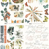 Arden Creative Studio Amber Ledgers 6x8 Inch Rub-On Transfer Set by Katie Pertiet (ACSRO0013) Arden Creative Studio Amber Ledgers 6x8 Inch Rub-On Transfer Set by Katie Pertiet (ACSRO0013)