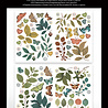 Arden Creative Studio Amber Ledgers Foliage Laser Cuts (85pcs) by Katie Pertiet (ACSLC0013) Arden Creative Studio Amber Ledgers Foliage Laser Cuts (85pcs) by Katie Pertiet (ACSLC0013)