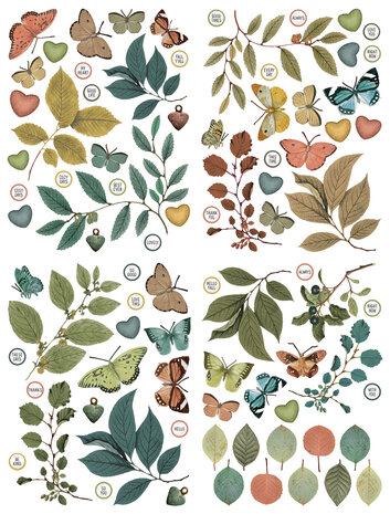 Arden Creative Studio Amber Ledgers Foliage Laser Cuts (85pcs) by Katie Pertiet (ACSLC0013) Arden Creative Studio Amber Ledgers Foliage Laser Cuts (85pcs) by Katie Pertiet (ACSLC0013)