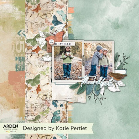 Arden Creative Studio Maker Series 4x8 Inch Clear Stamp Set Ledger Notes by Katie Pertiet (ACSCS0037)