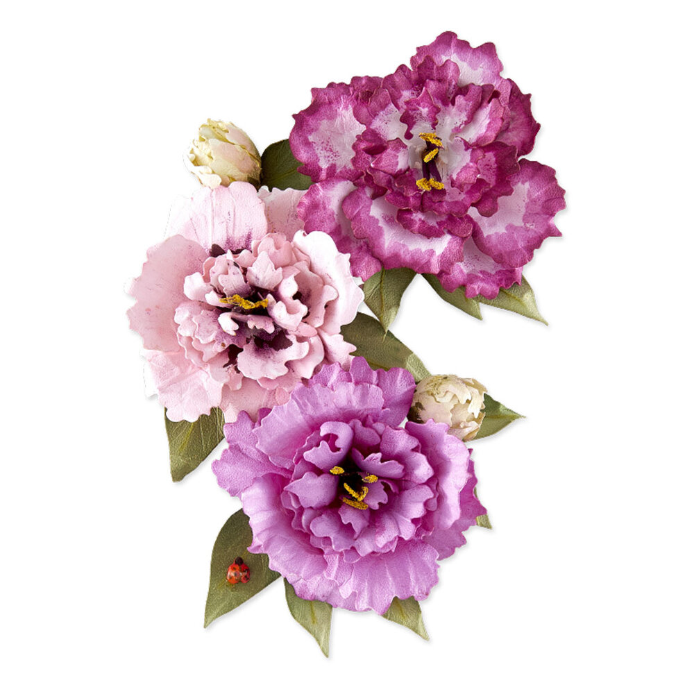 Spellbinders The Cottage Garden Etched Dies Lisianthus by Susan Tierney-Cockburn (S4-1572) Spellbinders The Cottage Garden Etched Dies Lisianthus by Susan Tierney-Cockburn (S4-1572)