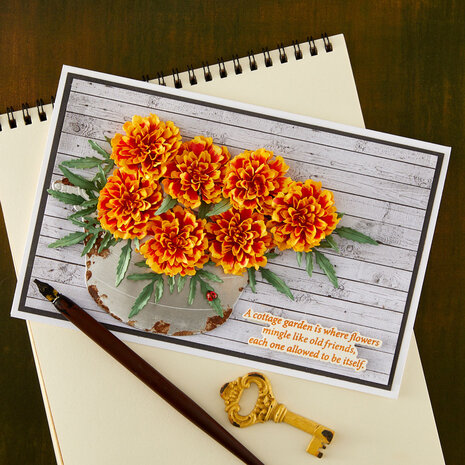 Spellbinders The Cottage Garden Etched Dies Marigold by Susan Tierney-Cockburn (S3-590) Spellbinders The Cottage Garden Etched Dies Marigold by Susan Tierney-Cockburn (S3-590)