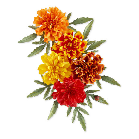 Spellbinders The Cottage Garden Etched Dies Marigold by Susan Tierney-Cockburn (S3-590) Spellbinders The Cottage Garden Etched Dies Marigold by Susan Tierney-Cockburn (S3-590)