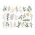 Sleigh Bells Ring Clear Foliage Stickers by Rosie's Studio (169473) Sleigh Bells Ring Clear Foliage Stickers by Rosie's Studio (169473)