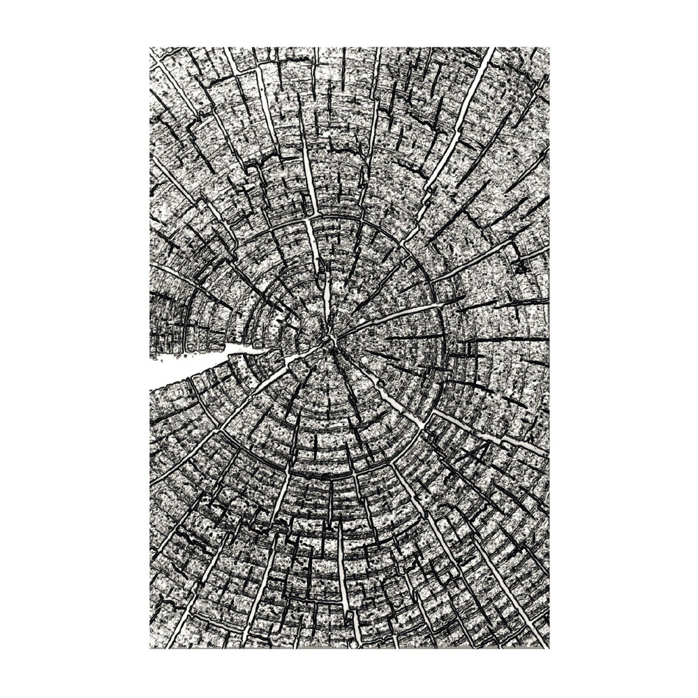 Sizzix 3D Embossing Folder A5 Tree Rings by Tim Holtz (667258)