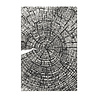 Sizzix 3D Embossing Folder A5 Tree Rings by Tim Holtz (667258)