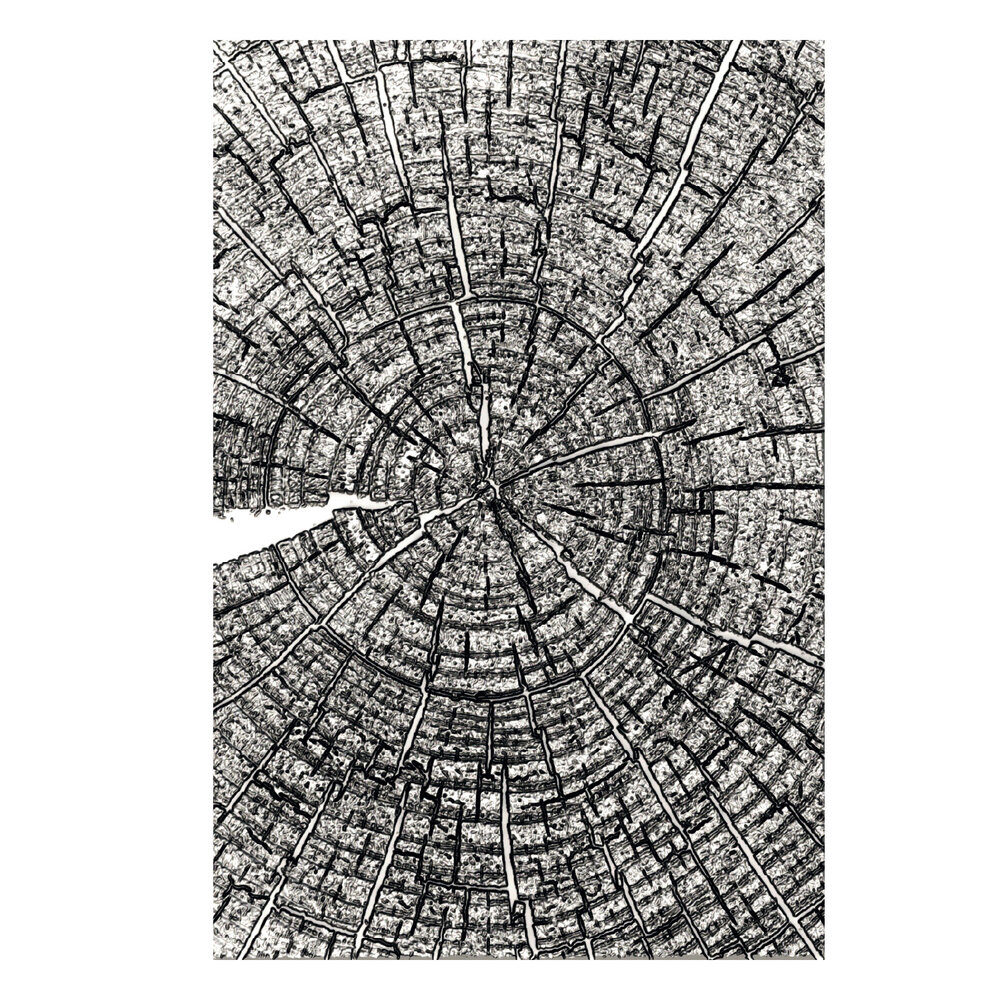 Sizzix 3D Embossing Folder A5 Tree Rings by Tim Holtz (667258)