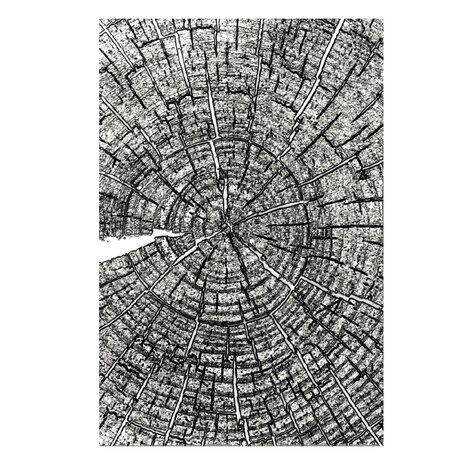 Sizzix 3D Embossing Folder A5 Tree Rings by Tim Holtz (667258)