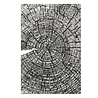 Sizzix 3D Embossing Folder A5 Tree Rings by Tim Holtz (667258)