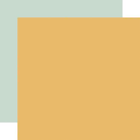 Carta Bella Home Sweet Home 12x12 Inch Coordination Solids Paper Pack (CBHSH541015) Carta Bella Home Sweet Home 12x12 Inch Coordination Solids Paper Pack (CBHSH541015)