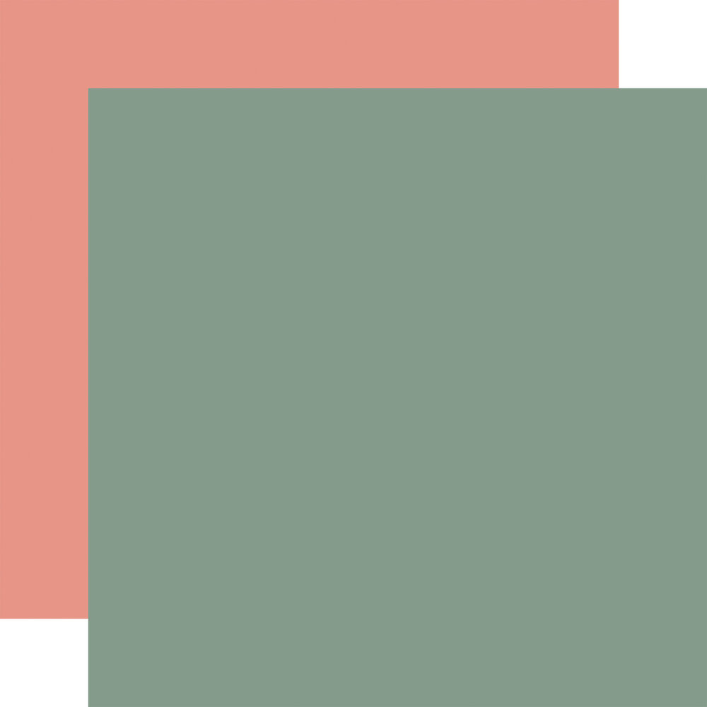 Carta Bella Silly Goose Winter 12x12 Inch Coordination Solids Paper Pack (CBSGW540015)