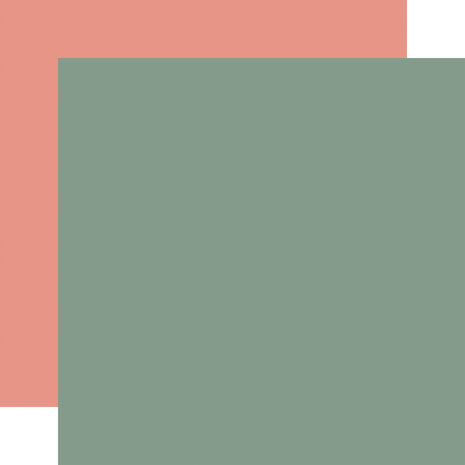 Carta Bella Silly Goose Winter 12x12 Inch Coordination Solids Paper Pack (CBSGW540015)